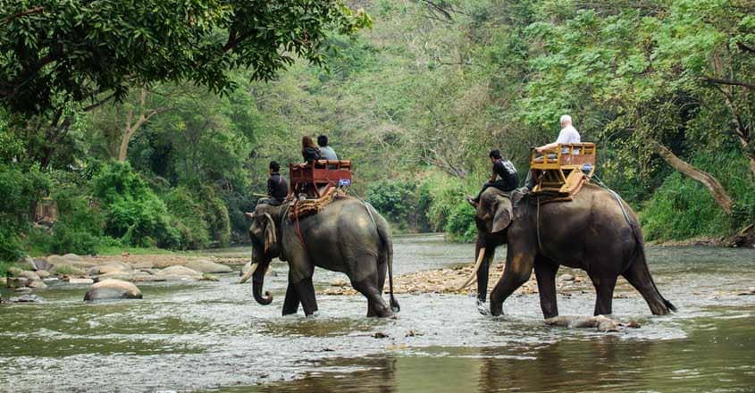 Elephant Safari in Alleppey