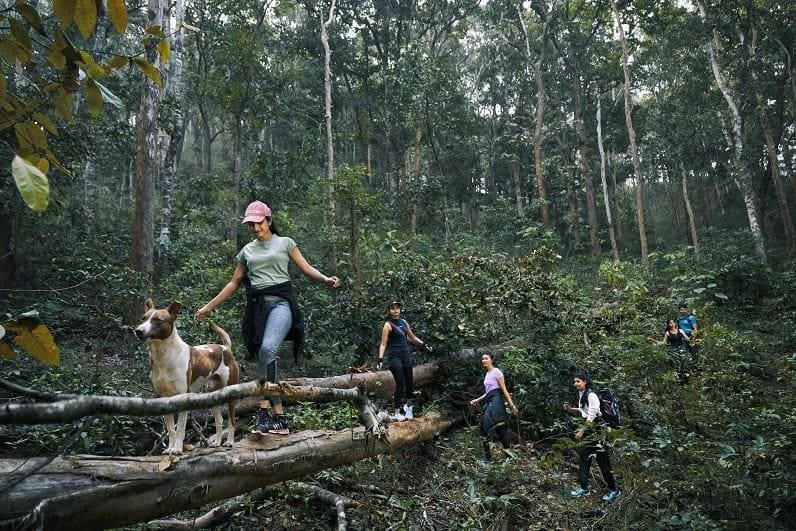 Trekking in Munnar