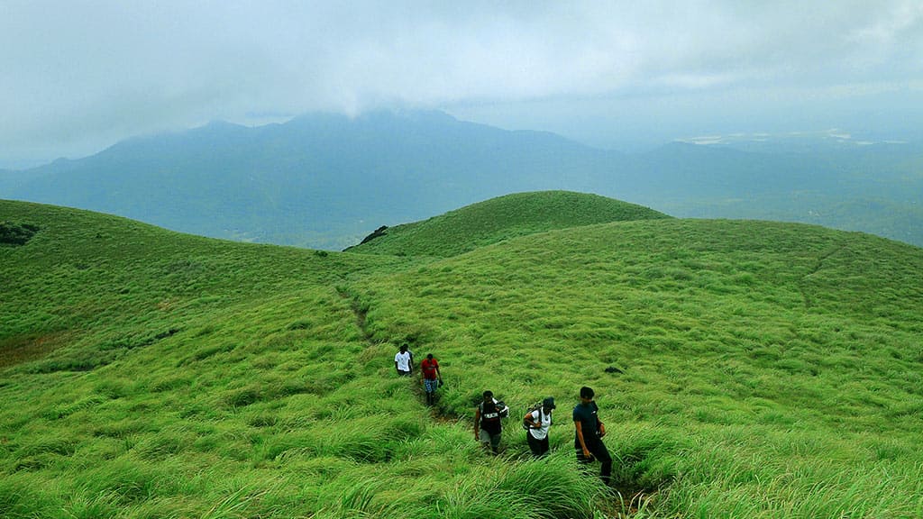 Chembra Peak, Wayanad