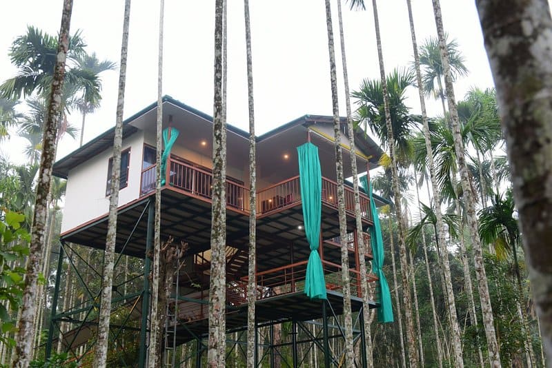 Best Stays in Wayanad