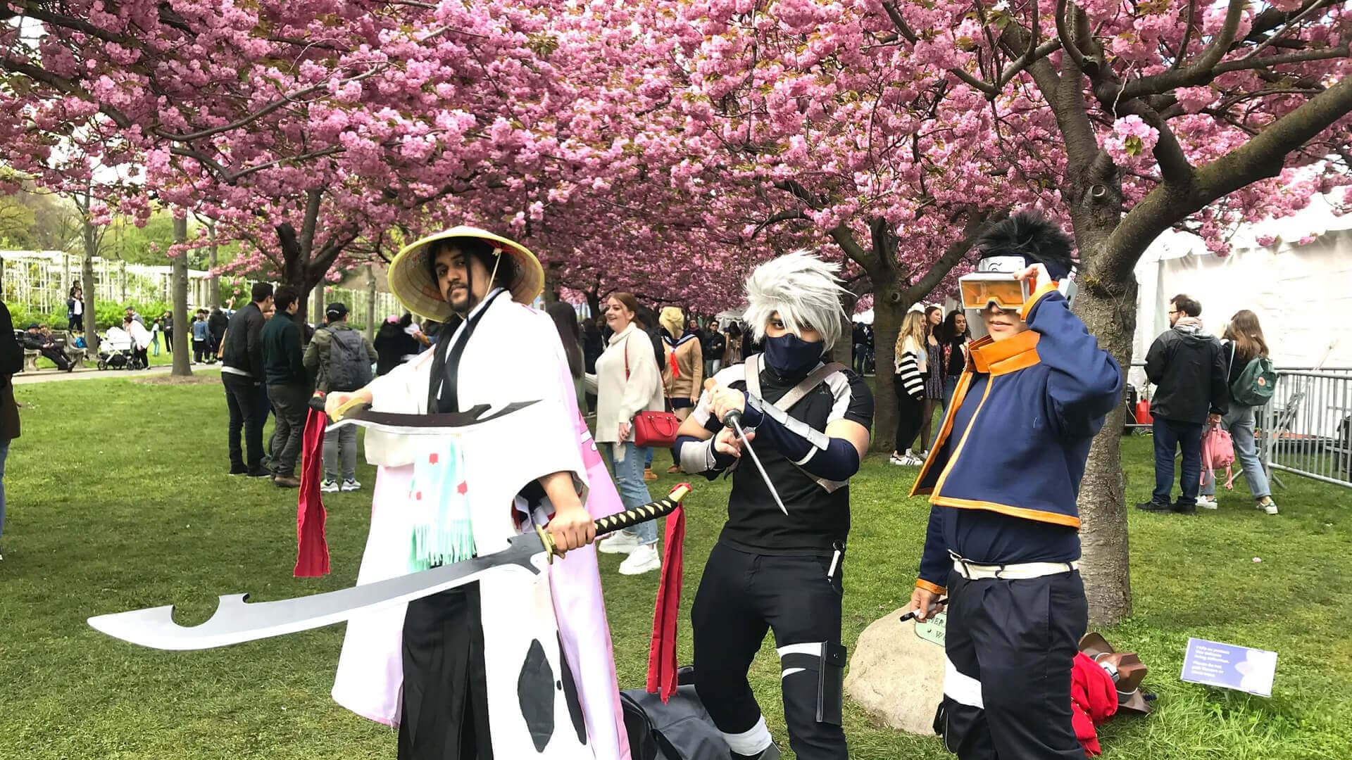 Cherry Blossom Festival